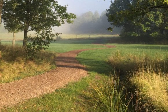 naturstig sjöhistoriska stigen på djurö på värmdö sommaräng