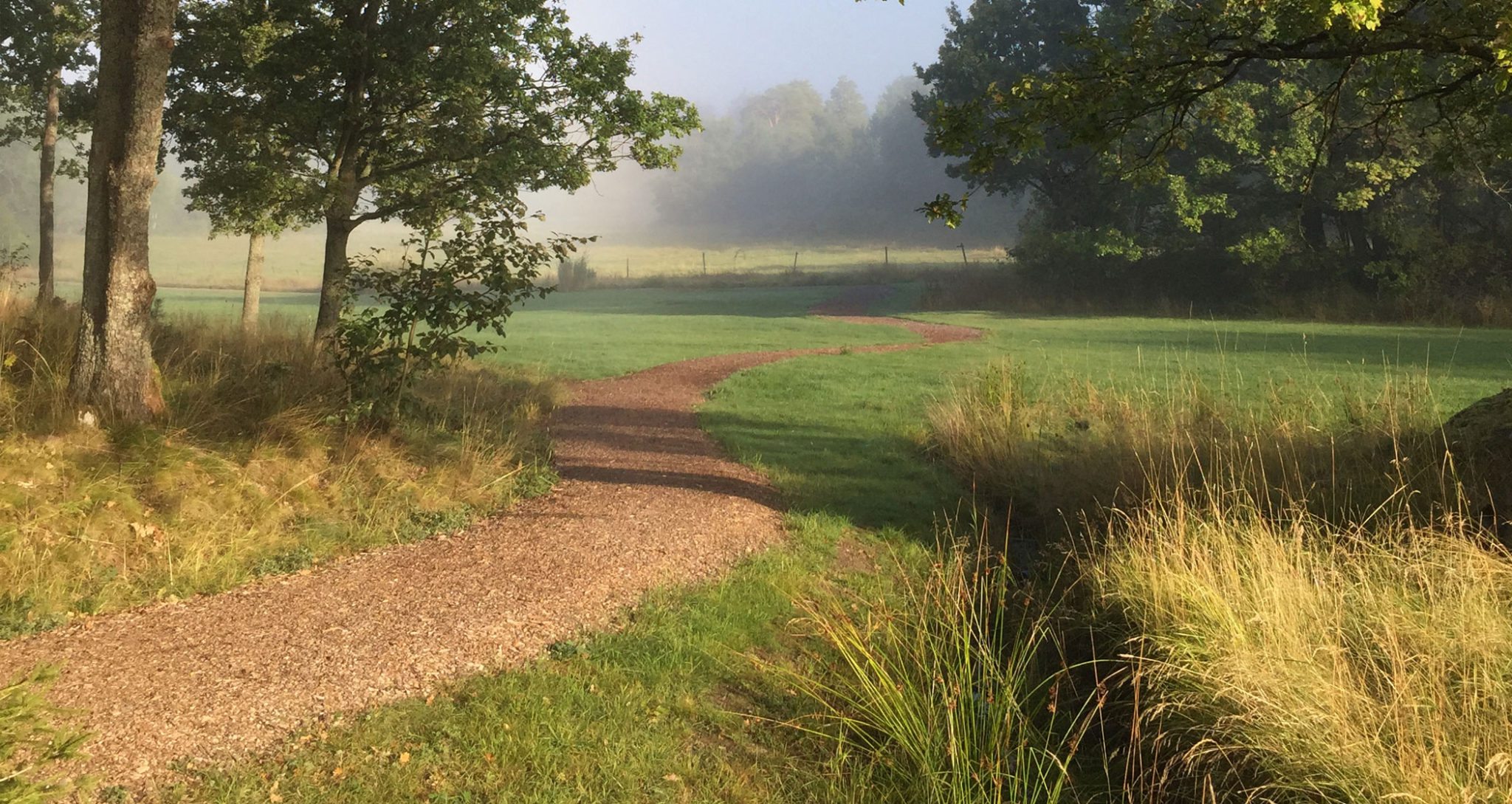 naturstig sjöhistoriska stigen på djurö på värmdö sommaräng