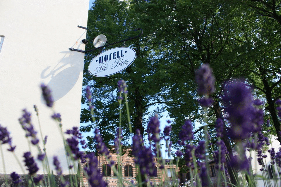Hotell Blå Blom