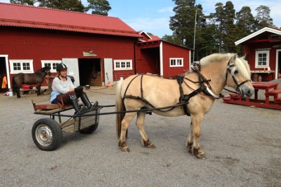 nysveds gård