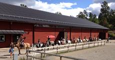 ponnystall 3