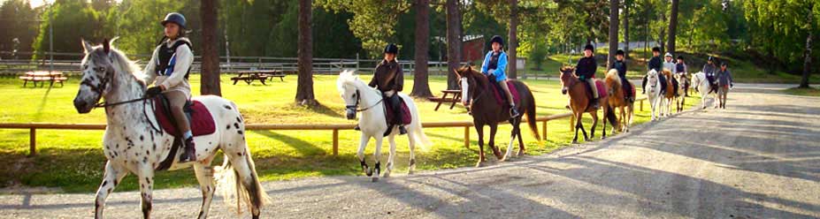 horse riding stockholm