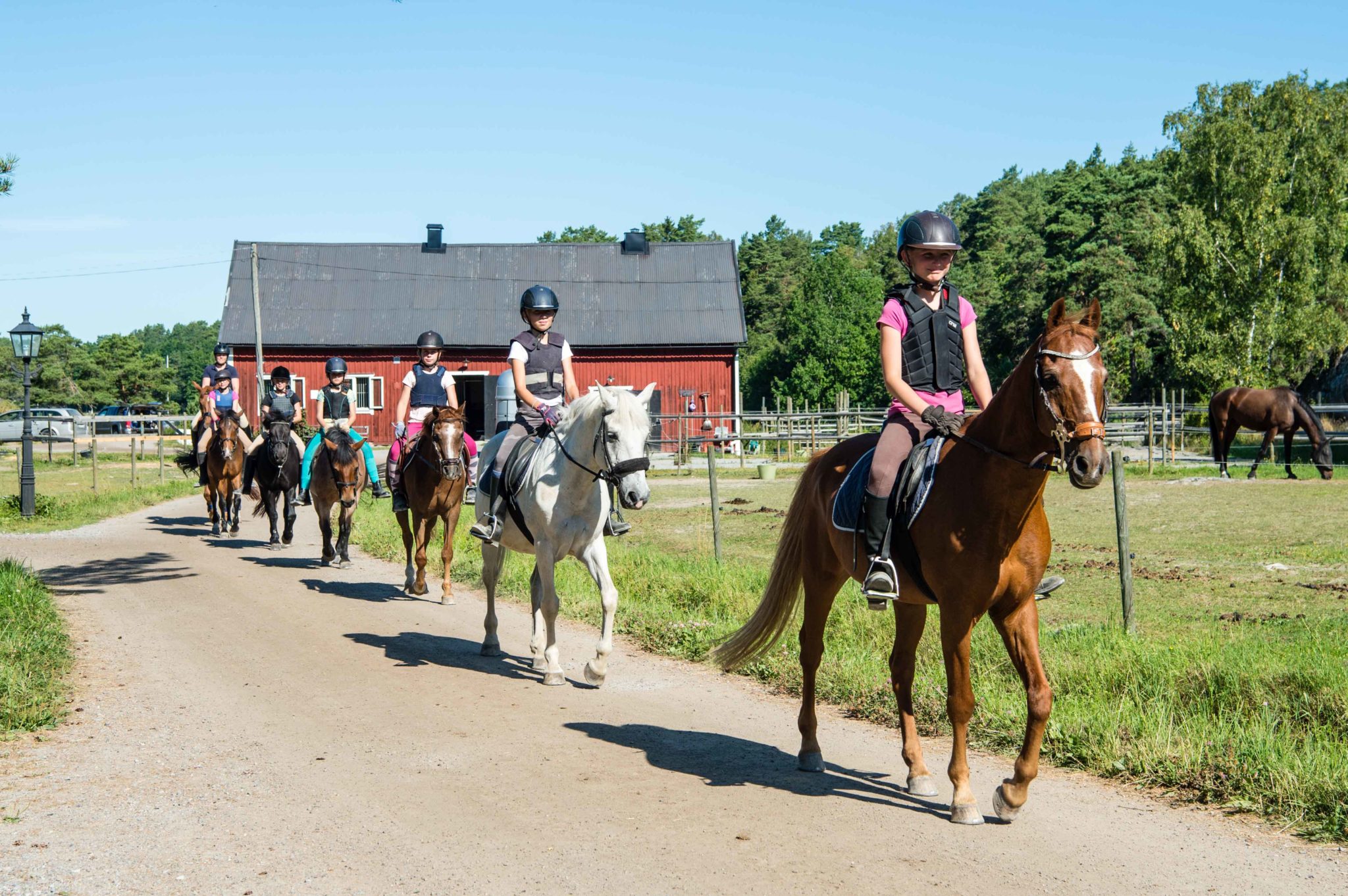 ett led med hästar på skaft stall