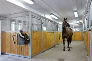 Stall Skaft häst utanför box
