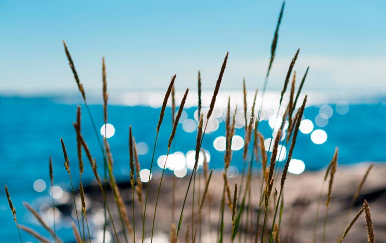 Se och Göra - Visitvarmdo.com