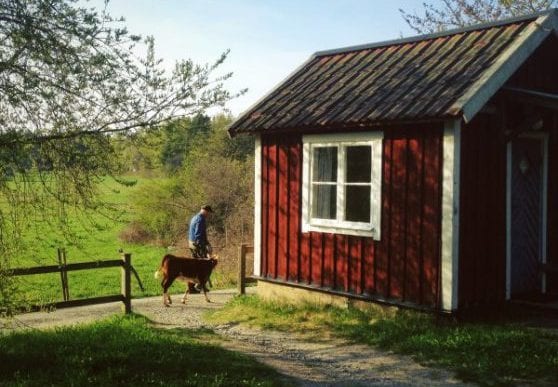 vandrarhem på gällnö