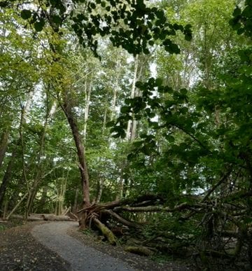 kulturstigen pilhamn